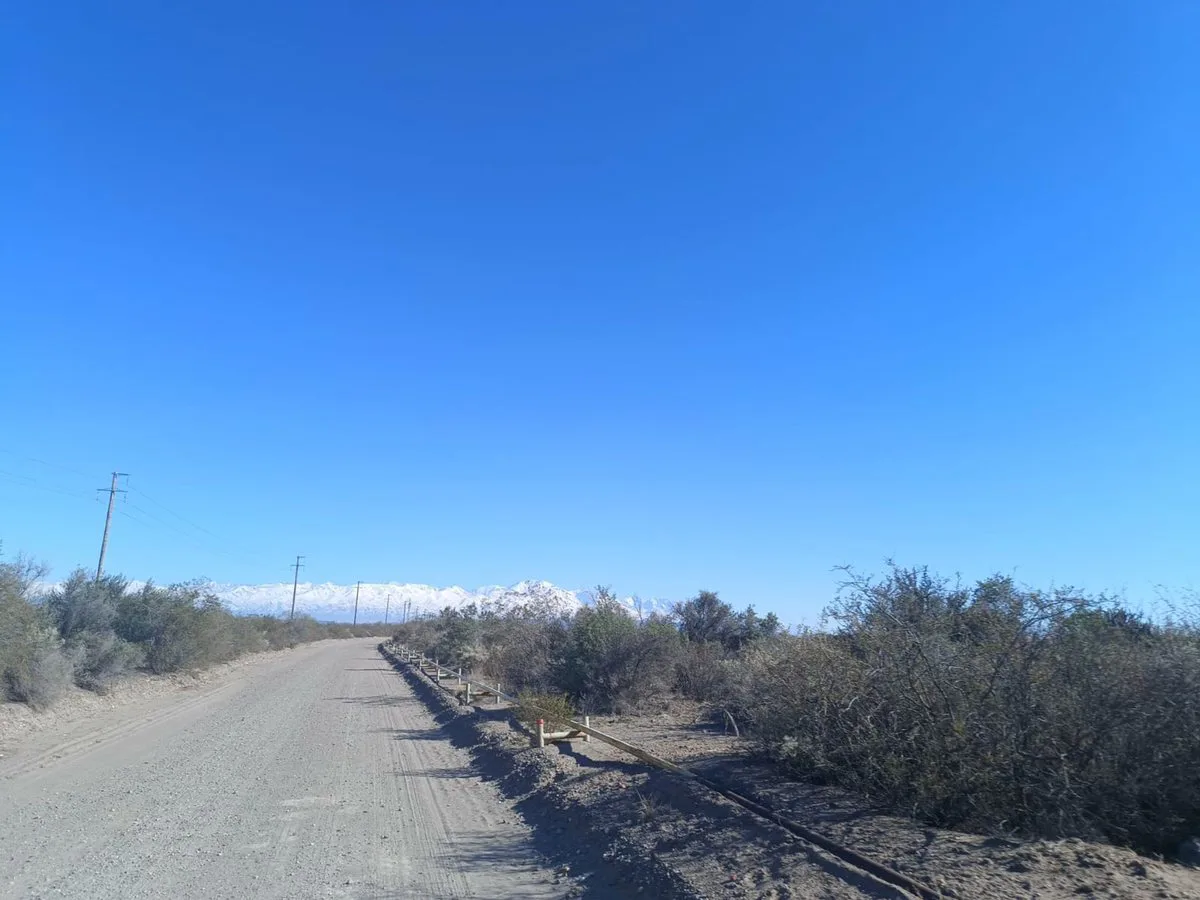 CAMPO EN VENTA 1307 HA ANCHORIS TUPUNGATO RUTA 40 foto 5