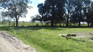 LOTE EN VENTA EN Bº LA PARADA - C/ ESCRITURA foto 3