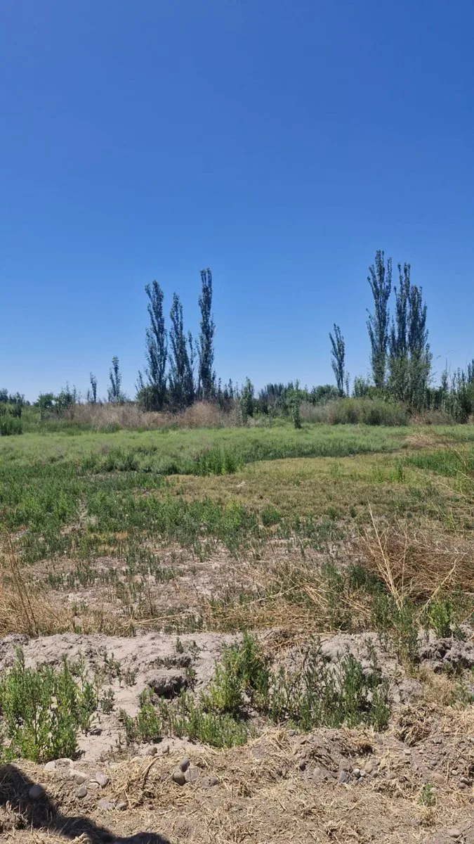 LOTE DE 1000M² EN VENTA EN RODEO DEL MEDIO/MAIPU foto 2