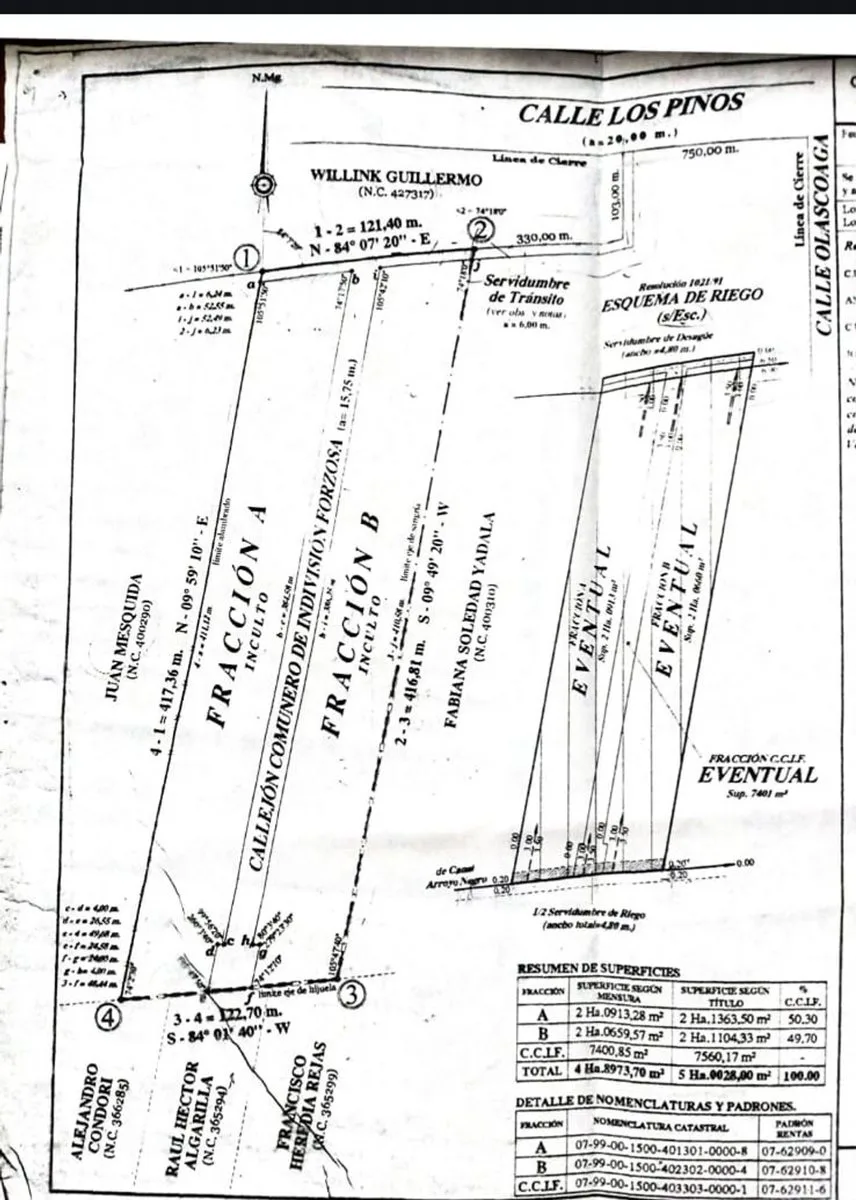 LOTE DE 1000M² EN VENTA EN RODEO DEL MEDIO/MAIPU foto 4