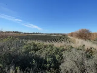 CHACRA 17 HAS. en  GAIMAN - CHUBUT foto 4