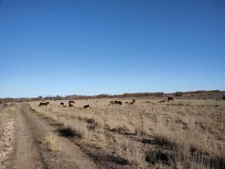 CHACRA 17 HAS. en  GAIMAN - CHUBUT foto 5