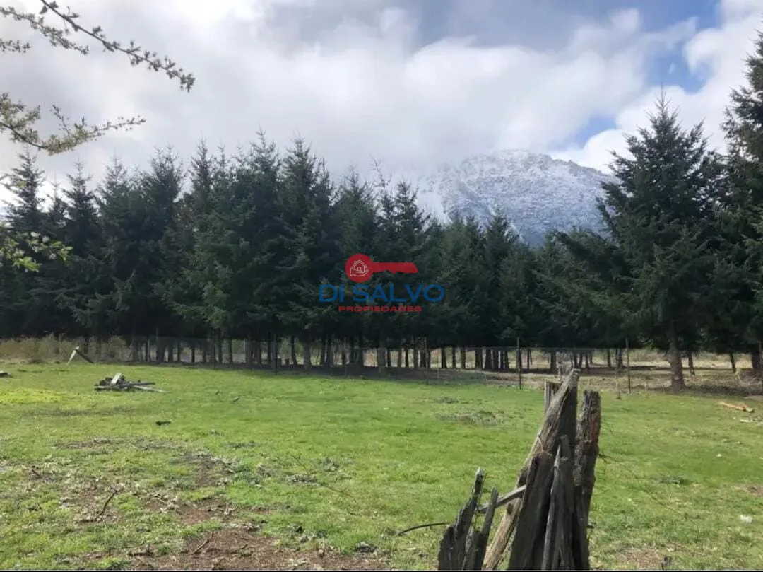Lote 900 mts2 En Las Golondrinas - Lago Puelo foto 3