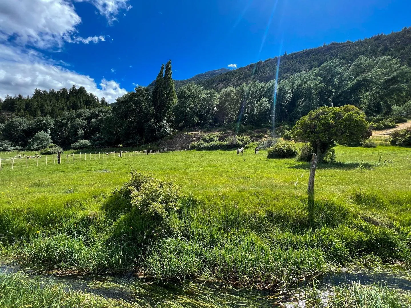 SE VENDE TERRENO, EL HOYO-CHUBUT foto 4