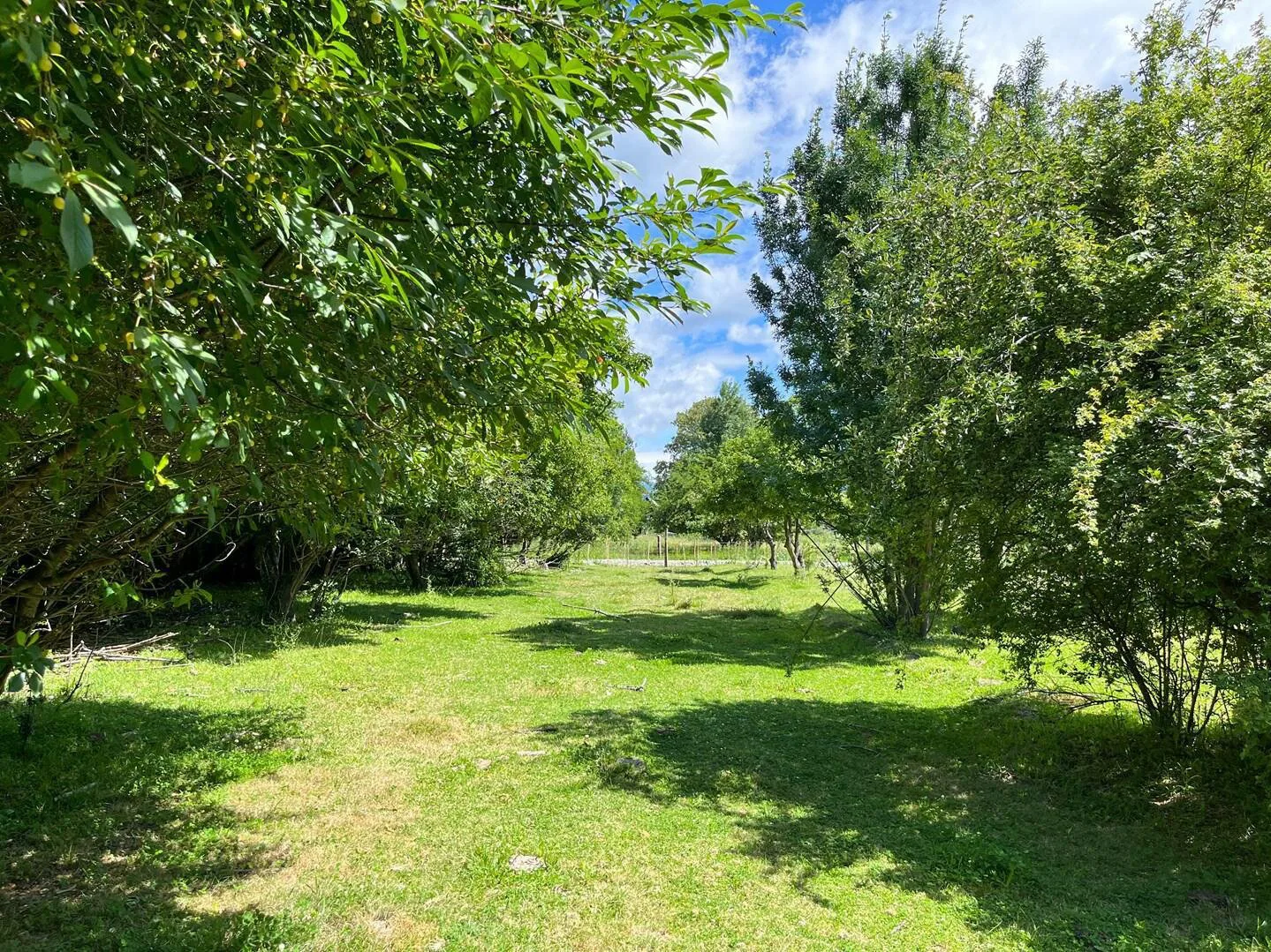 SE VENDE TERRENO, EL HOYO-CHUBUT foto 5
