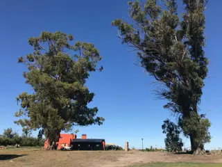 SE VENDEN LOTES SOBRE RUTA PROV N°1 CAMINO A BALNEARIO EL CONDOR foto 5