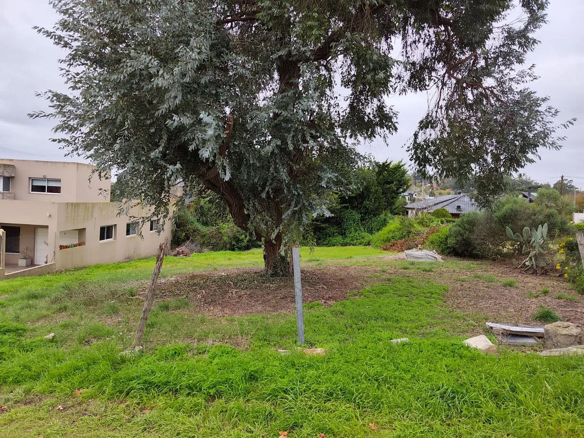 Venta Lote 600 m2 Sierra de los Padres foto 2