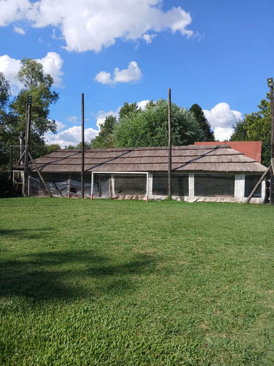 VENTA LOTE CON QUINCHO GRAL RODRIGUEZ foto 5
