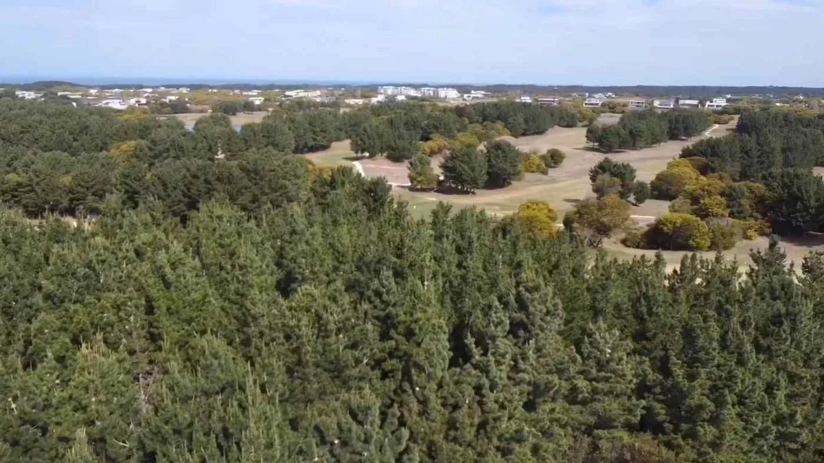 Venta Lote Costa Esmeralda Golf I Vistas al Golf foto 3