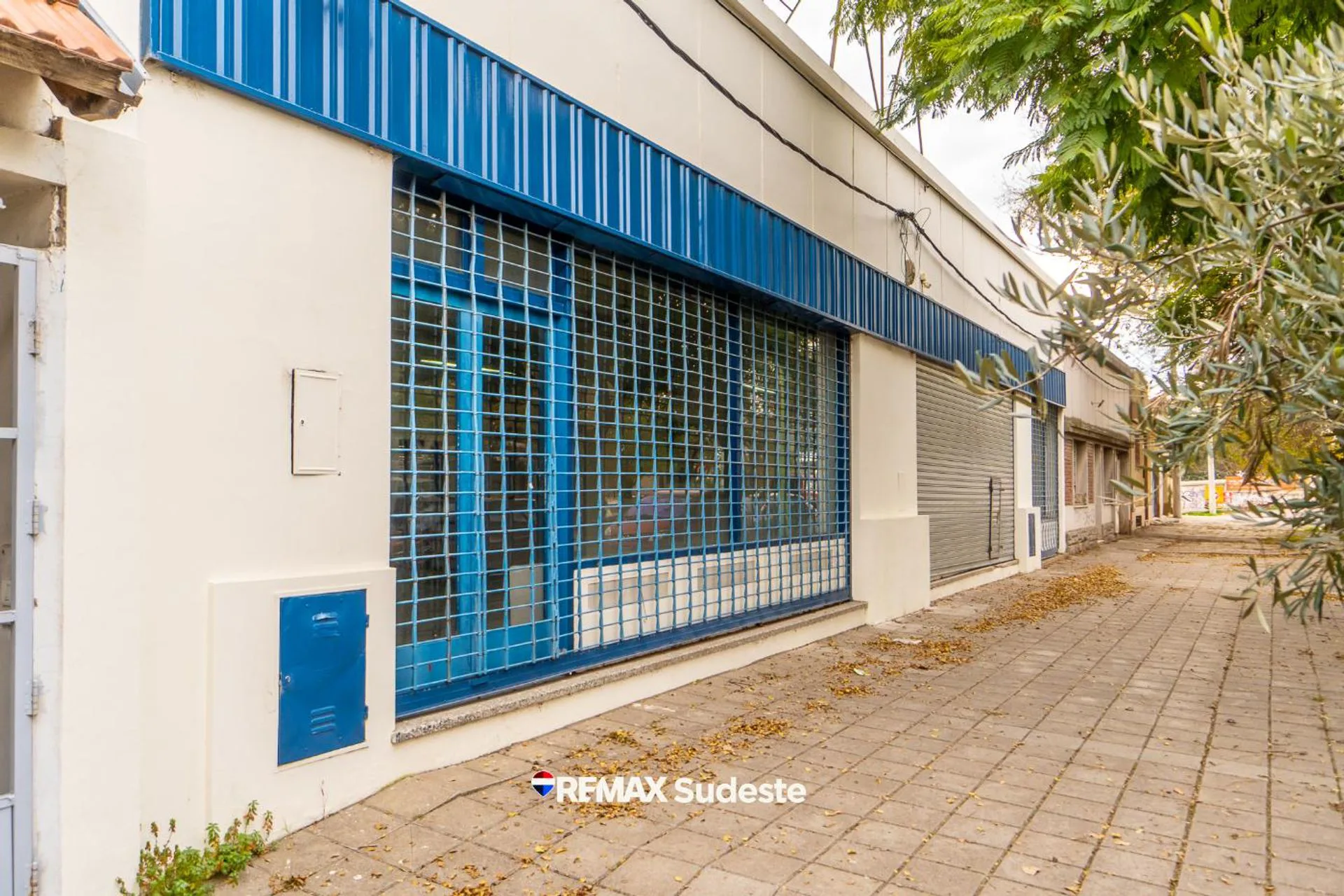 ALQUILER LOCAL ZONA COMERCIAL E INDUST AV COLON foto 4