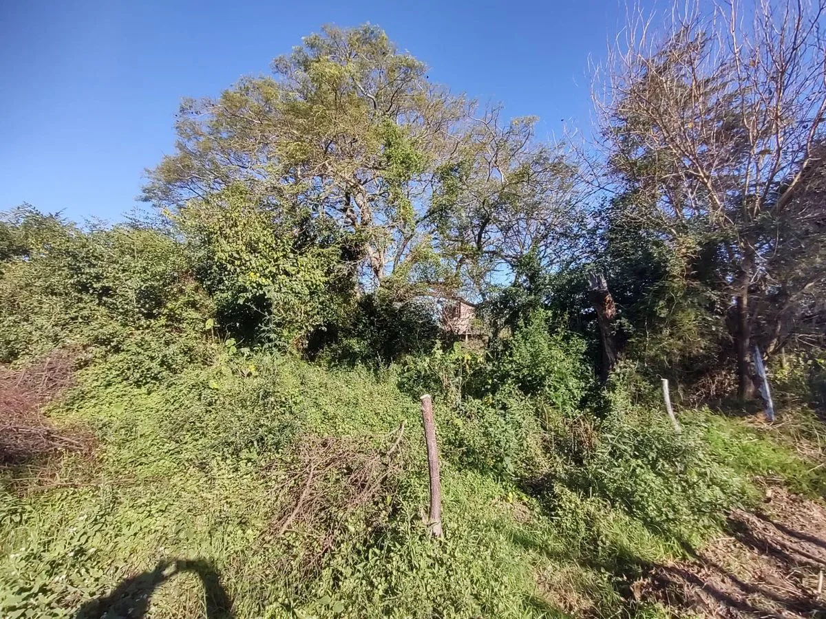 VENTA TERRENO ARROYO LEYES foto 3