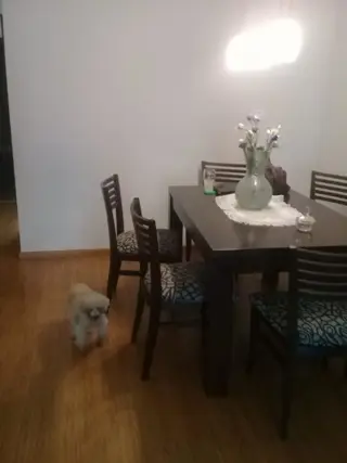 VENTA DE HERMOSO DPTO DE DOS AMB. A FULL  EN V. DEVOTO foto 5