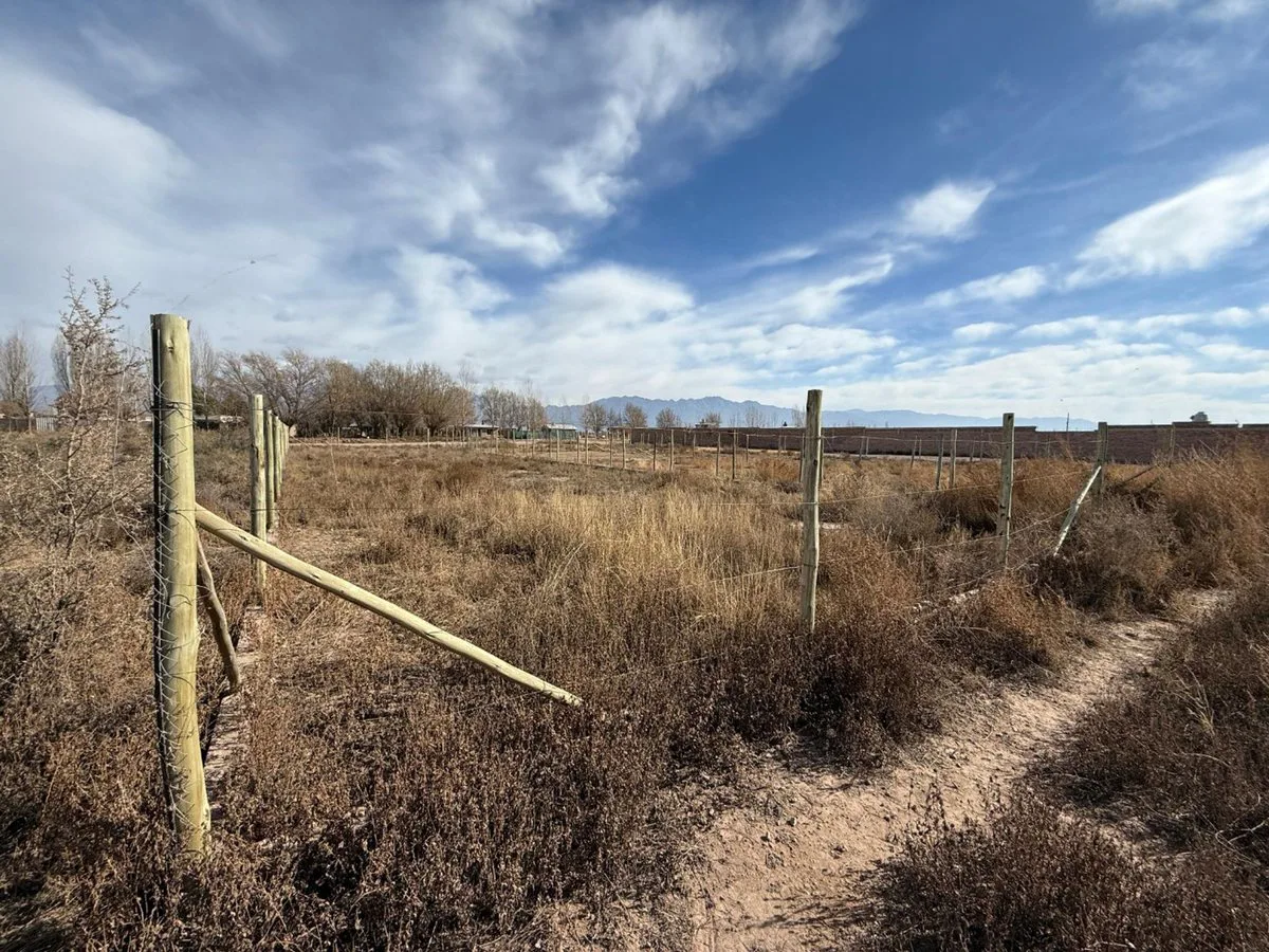 Lote en venta en Perdriel Lujan de Cuyo foto 2