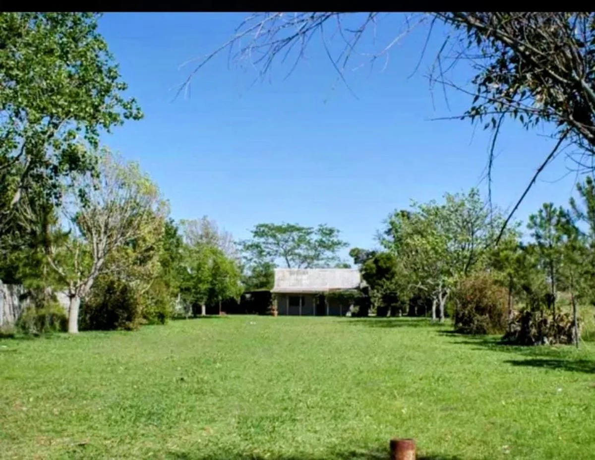 LOTE CON QUINCHO EN VENTA BERISSO ,LOS TALAS foto 3