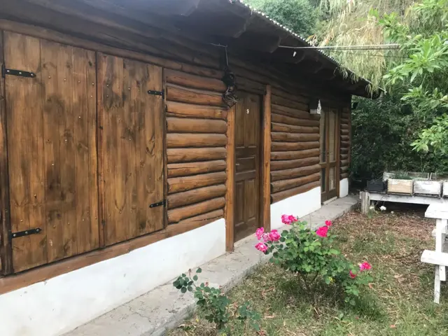CABAÑAS DEL SAUCE - Cabaña Nº9