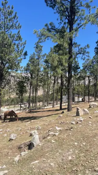 EN VENTA LOTE DE 2080 M2 EN EL PINAR, TAFI DEL VALLE foto 2
