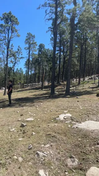 EN VENTA LOTE DE 2080 M2 EN EL PINAR, TAFI DEL VALLE foto 3