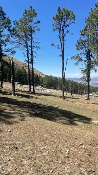 EN VENTA LOTE DE 2080 M2 EN EL PINAR, TAFI DEL VALLE foto 5