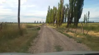 Chacra productiva con vivienda foto 5