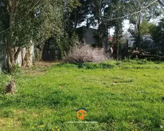 Industria Habilitada En Jauregui Sobre Fraccion De 1054 M2 foto 2