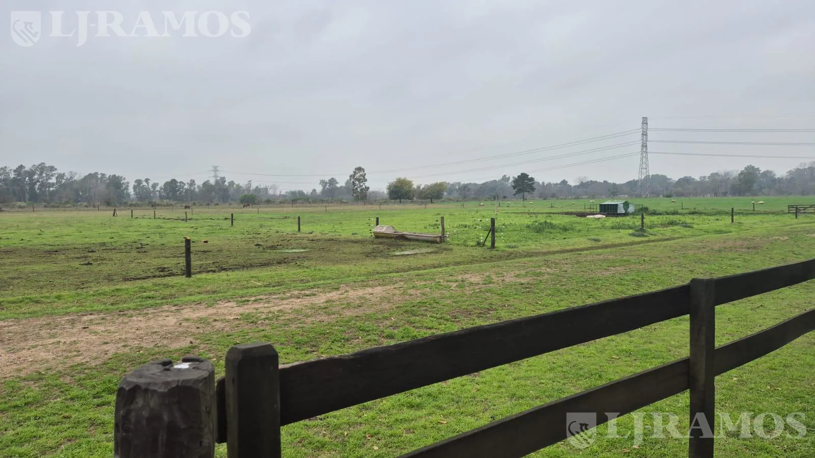 Campo en Venta Pilar zona Polo 34 has. a 800 metros de la ruta 28 . foto 3