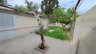 CASA EN VENTA EN CNEL. BRANDSEN foto 3