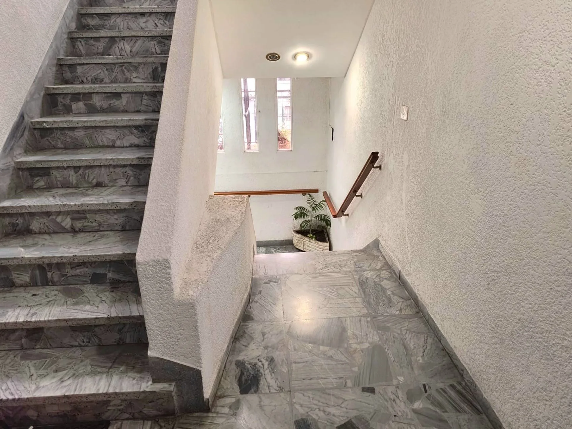 Venta departamento 3 dormit. Jardín Villa Adelina foto 2