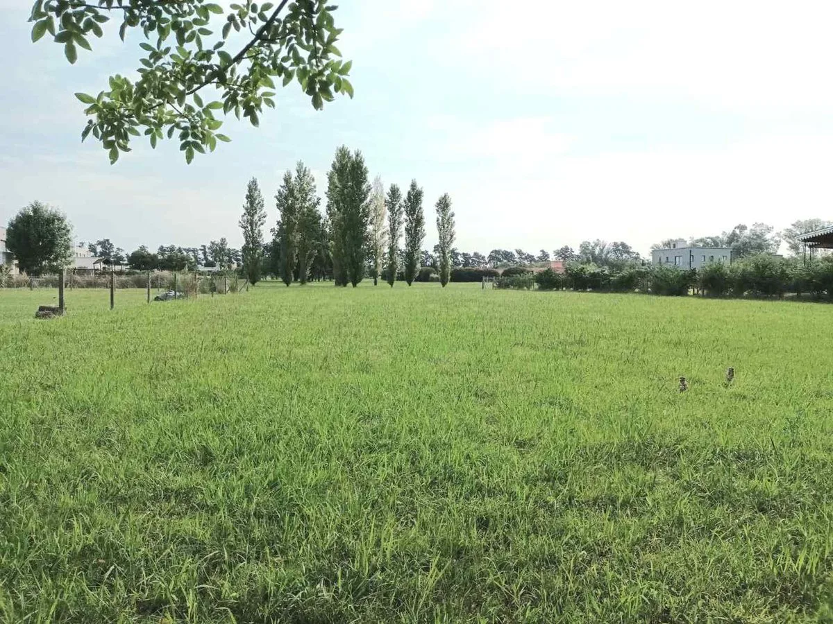 VENTA GRAN LOTE TERRENO BC LOS PALENQUES 1198M2 foto 2
