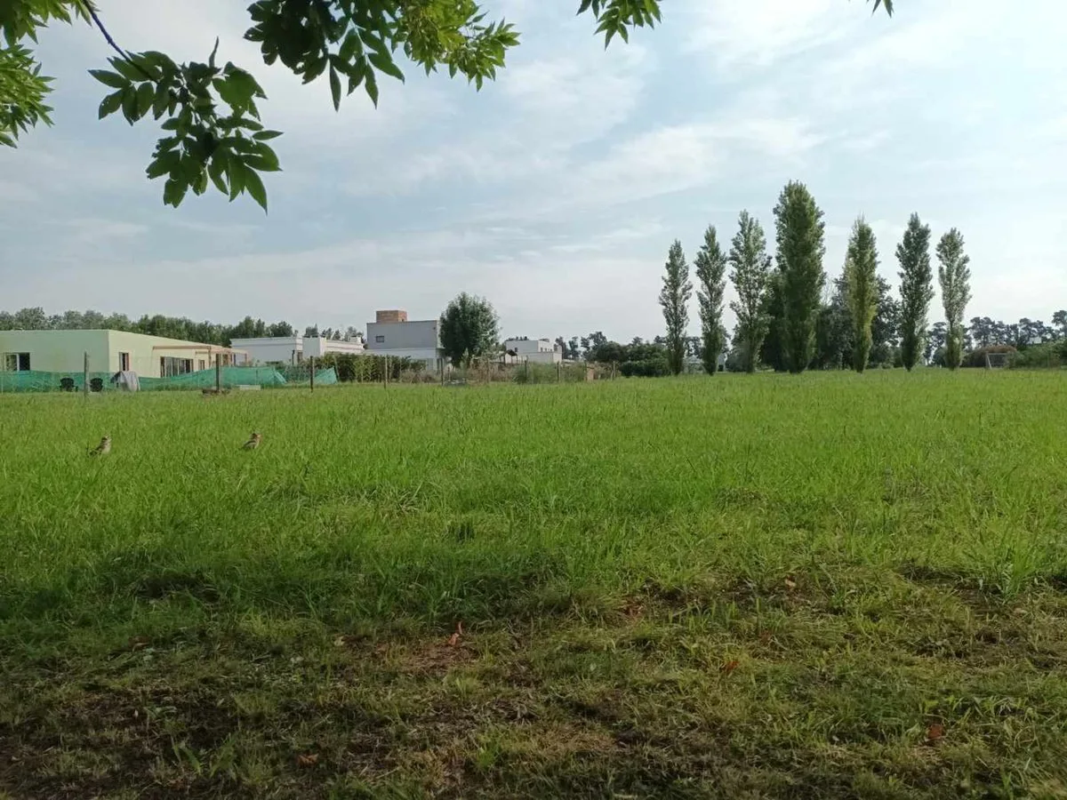 VENTA GRAN LOTE TERRENO BC LOS PALENQUES 1198M2 foto 3