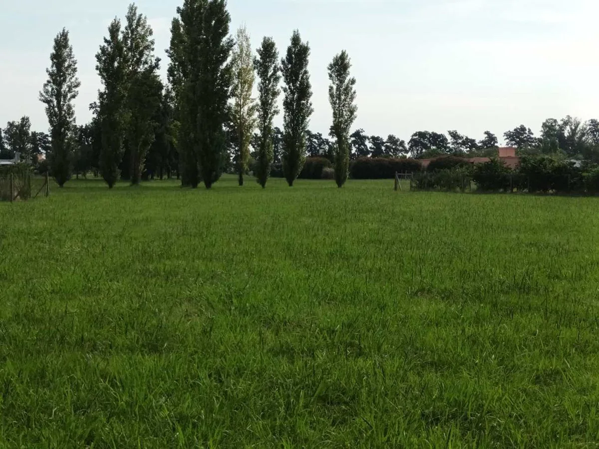 VENTA GRAN LOTE TERRENO BC LOS PALENQUES 1198M2 foto 5