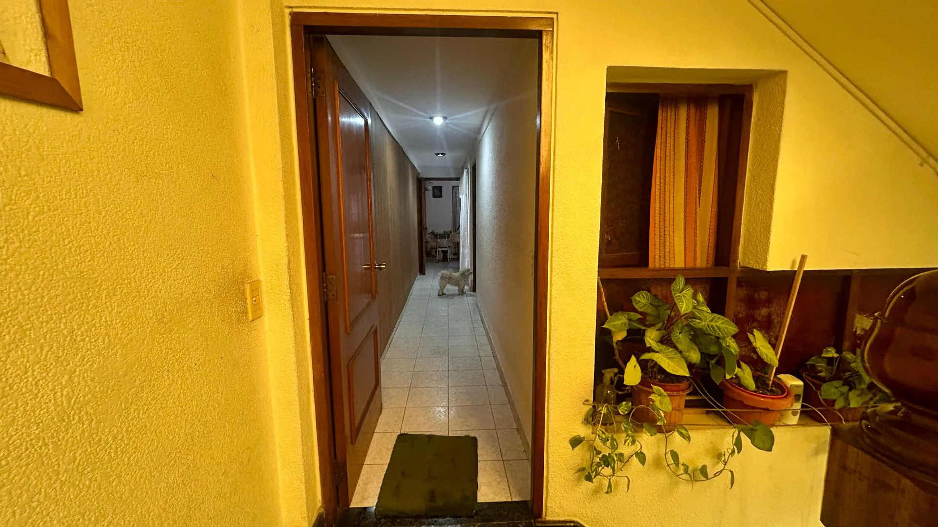 VENTA LOTE PROPIO CASA 5 AMB + LOCAL - RAMOS MEJIA foto 3