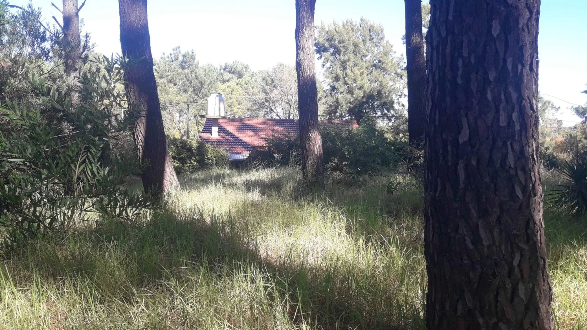 Lote en Venta en Valeria del Mar foto 5