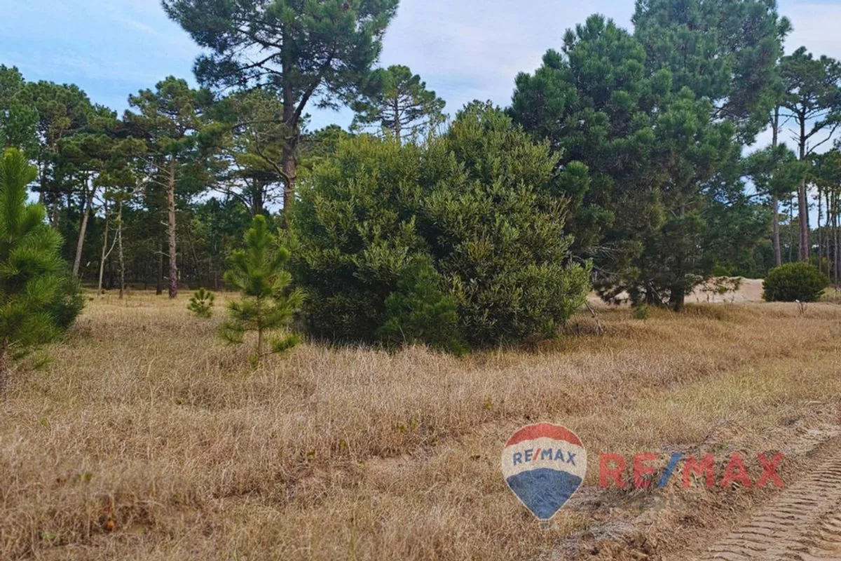 Lote Venta Pinamar Barrio Bosques Norte Privado foto 2