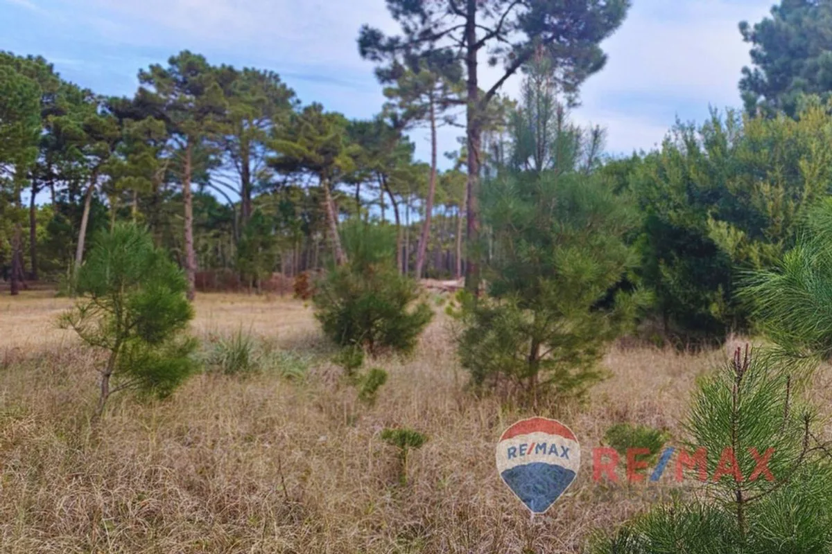 Lote Venta Pinamar Barrio Bosques Norte Privado foto 3