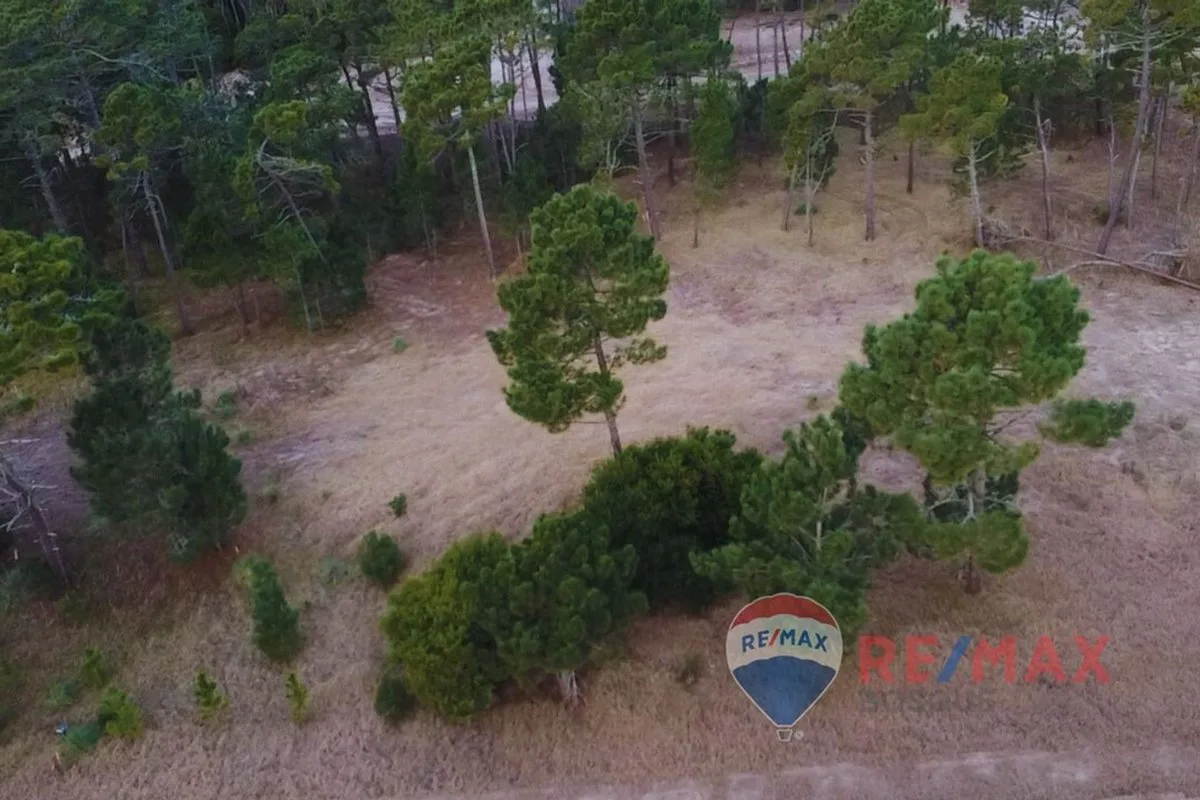 Lote Venta Pinamar Barrio Bosques Norte Privado foto 5