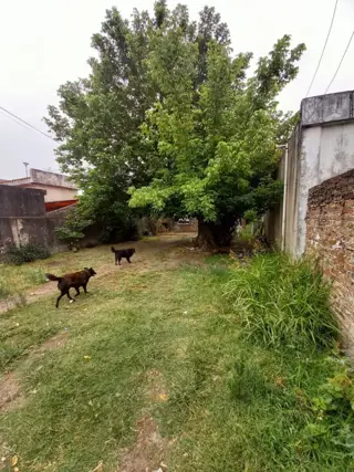 Lote en venta Villa Luzuriaga foto 1