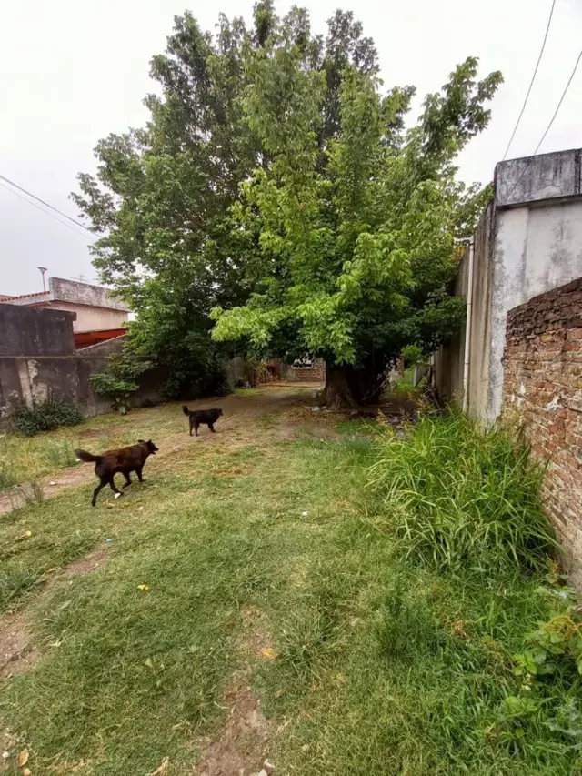 Lote en venta Villa Luzuriaga