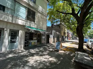 VENTA DOS CASAS Y LOCAL AL FRENTE  EN PELLEGRINI foto 2