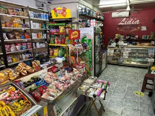VENTA DOS CASAS Y LOCAL AL FRENTE  EN PELLEGRINI foto 4