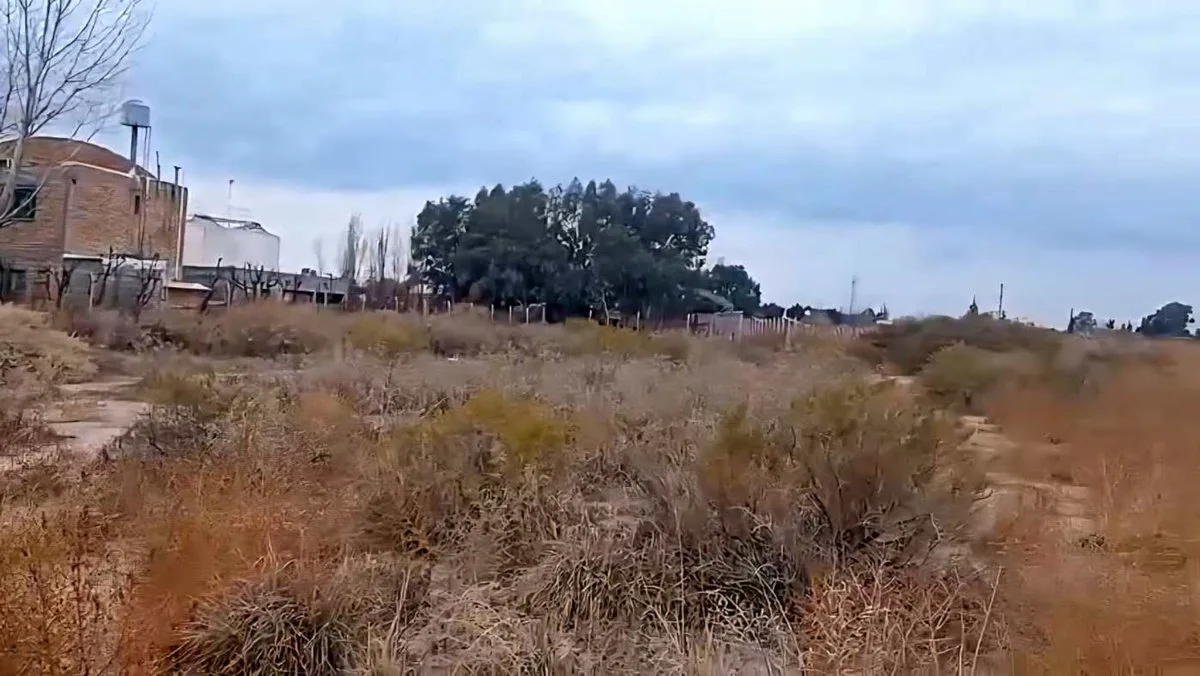 VENTA DE TERRENO SAN MARTIN MZA - IDEAL DESARROLLO foto 3