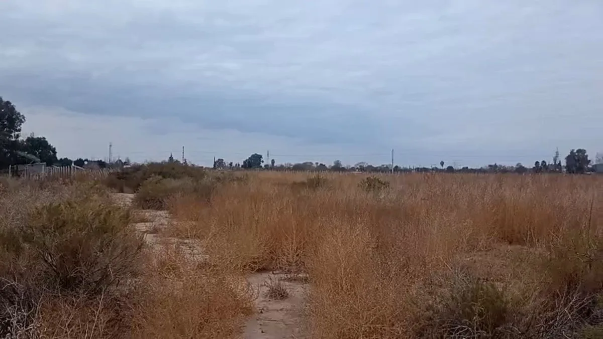 VENTA DE TERRENO SAN MARTIN MZA - IDEAL DESARROLLO foto 4