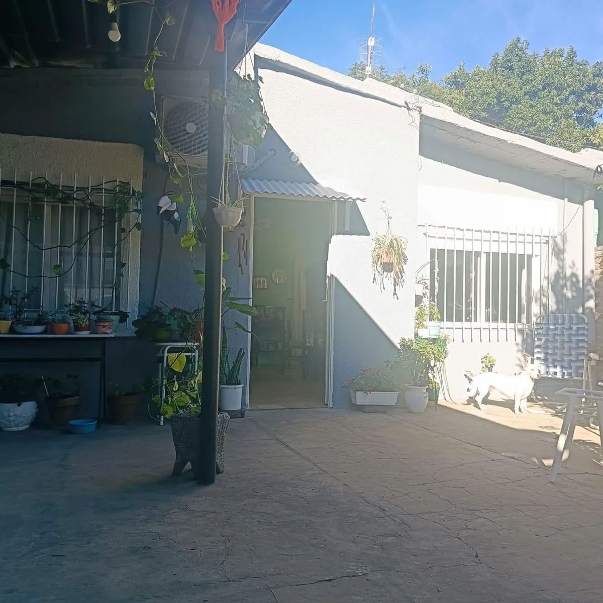 VENTA CASA CON JARDIN VILLA TESEI HURLINGHAM foto 5