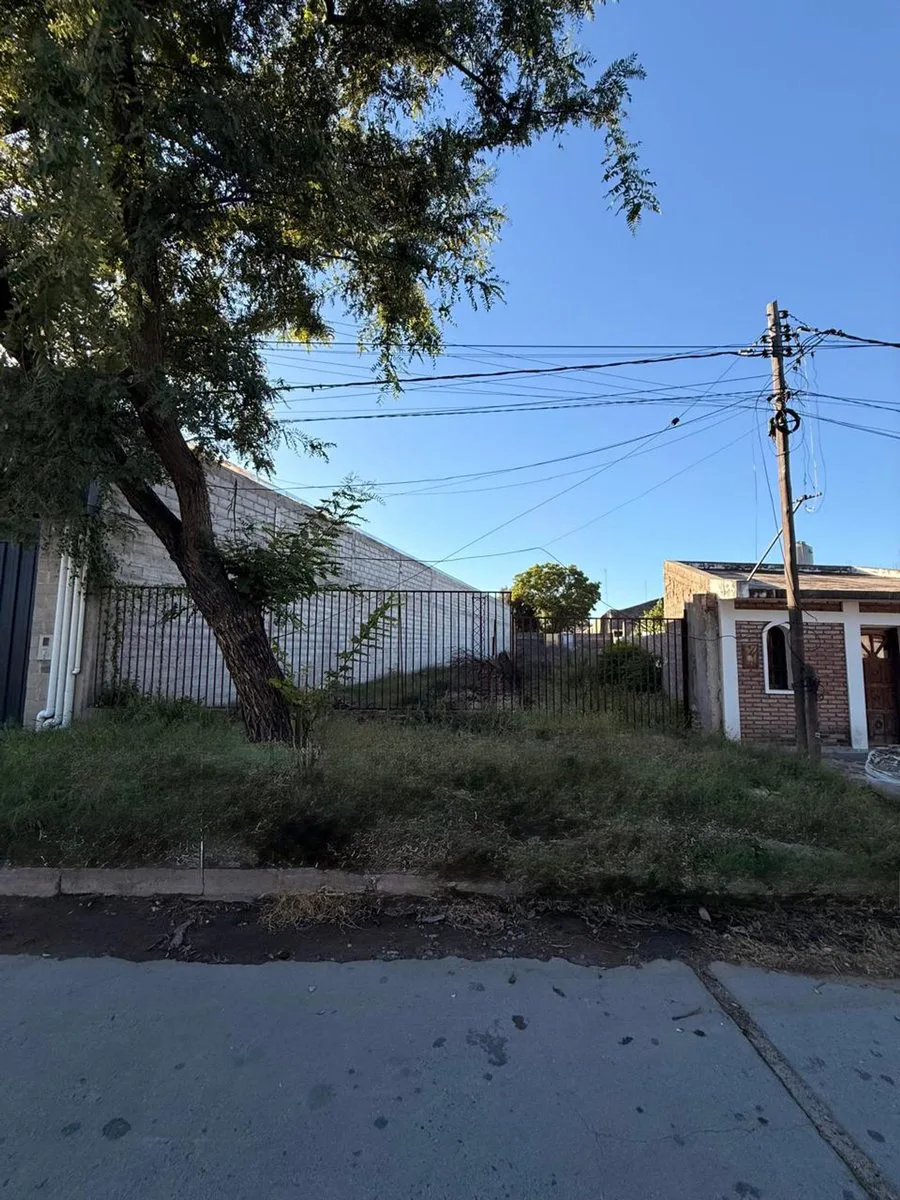 Terreno ideal para galpón y desarrollo comercial foto 4