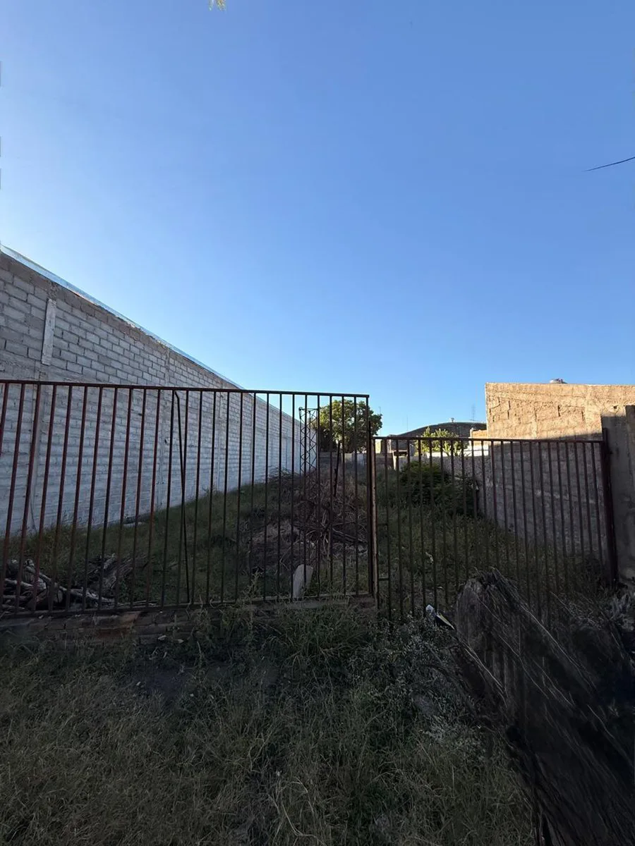 Terreno ideal para galpón y desarrollo comercial foto 5