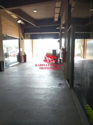 LOCAL EN PLANTA BAJA EN ALQUILER, PASEO DE COMPRAS VIA PILAR foto 4