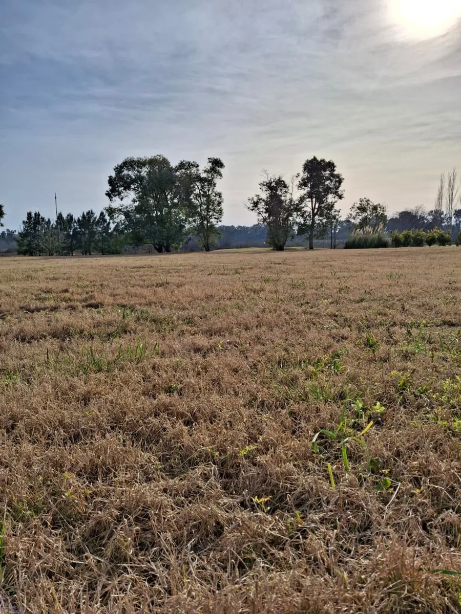Lote en venta. Everlinks Golf & CC. Lujan Financia foto 3