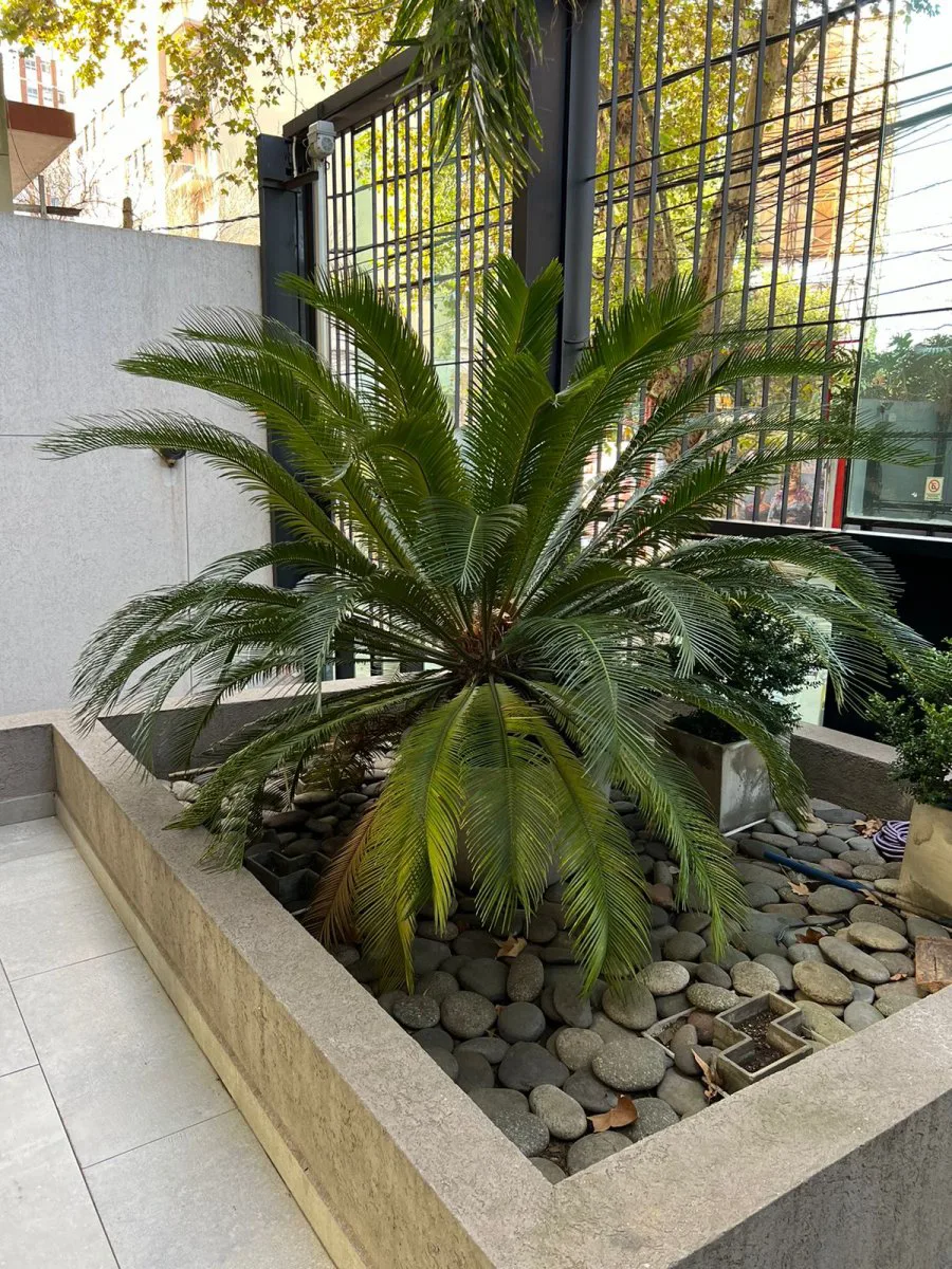 MONOAMBIENTE muy luminoso al frente, APTO PROFESIONAL en el 7piso. foto 3