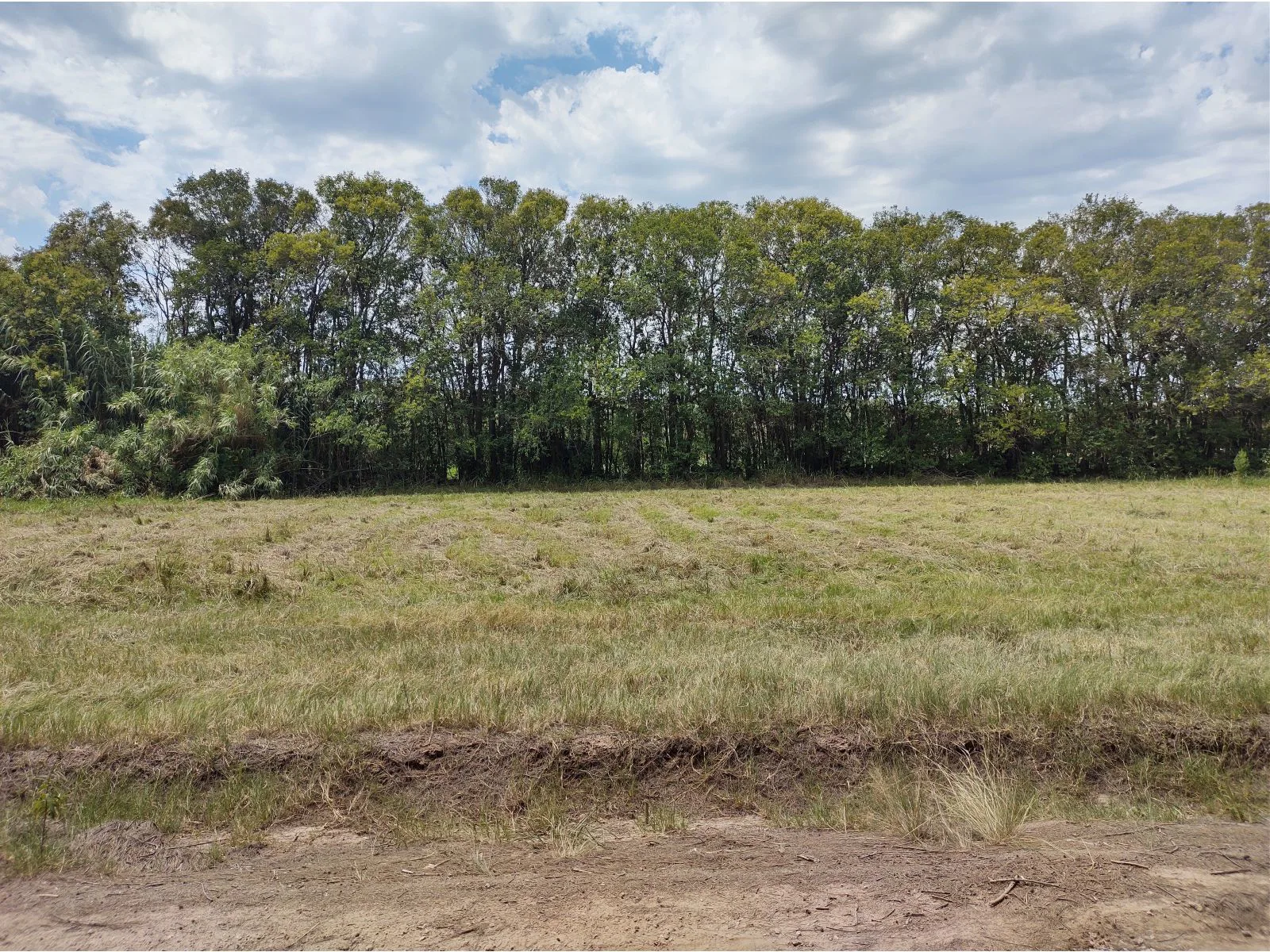 LOTE de 1.005m2 - San Pedro foto 5