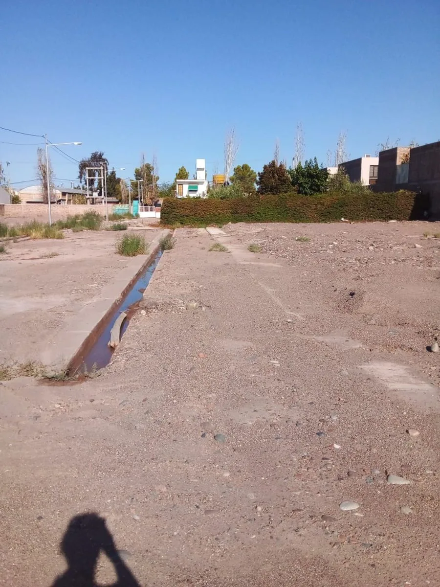 LOTE UBICADO EN EL DISTRITO DE LAS CAÑAS 260 m2 foto 3