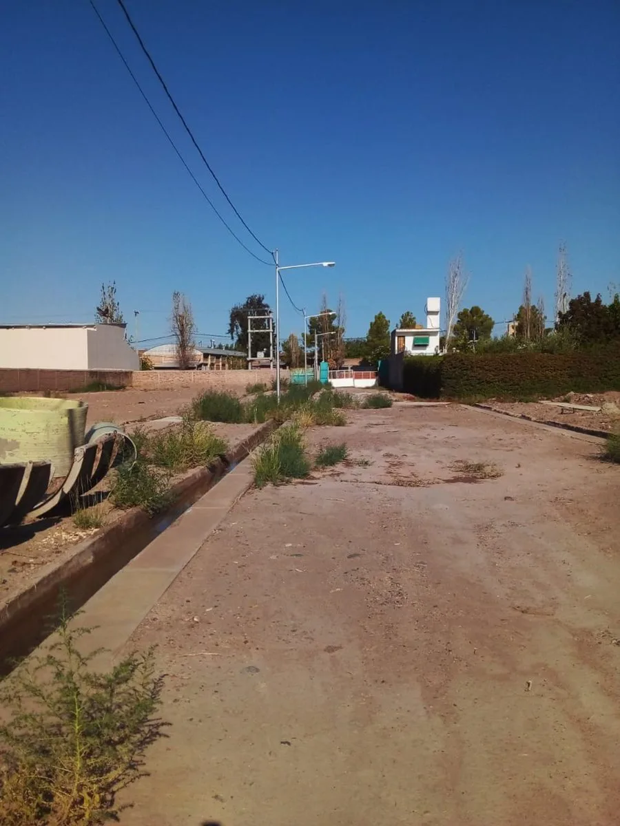 LOTE UBICADO EN EL DISTRITO DE LAS CAÑAS 260 m2 foto 4